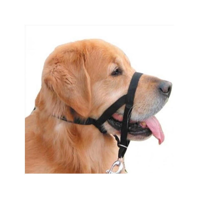 Halter N6 szer. 2cm (42-47cm)