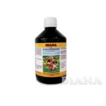 Dorschlebertran plus Lecithin Diana 500ml TRAN