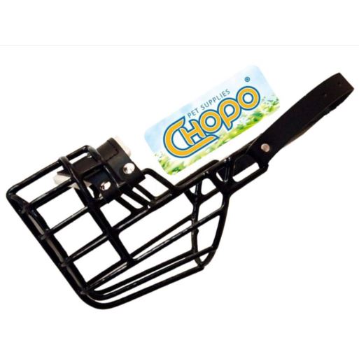 Chopo Kaganiec Fizj Dalmat, Husky Ogar Labrad SUKA Chopo Kaganiec Fizj Dalmat, Husky Ogar Labrad SUKA