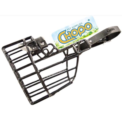 Chopo Kaganiec Fizjolo Nowofundland Bernardyn PIES Chopo Kaganiec Fizjolo Nowofundland Bernardyn PIES