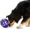 Premier Kibble Nibble Feeder Ball X-Smal