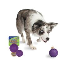 Premier Biscuit Bouncer L (large)