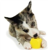 Premier Puppy Busy Buddy Biscuit Block M (medium)