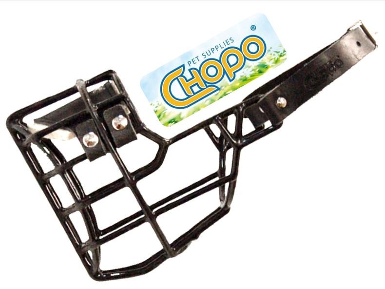 Chopo Kaganiec Fizjologiczny Sznaucer Średni SUKA