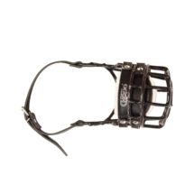 Chopo Kaganiec Fizjologiczny Sznaucer Średni SUKA