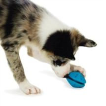 Premier Puppy Busy Buddy Twist'n Treat S (small)