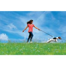 Szelki do samochodu dla psa rozmiar M do 76cm