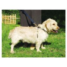 Szelki do samochodu dla psa rozmiar M do 76cm