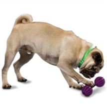 Premier Waggle S (small)