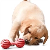 Premier Puppy Busy Buddy Waggle S (small)