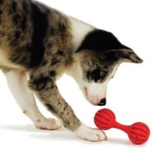 Premier Puppy Busy Buddy Waggle S (small)