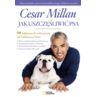Jak uszczęśliwić psa - Cesar Millan Poradnik Książ