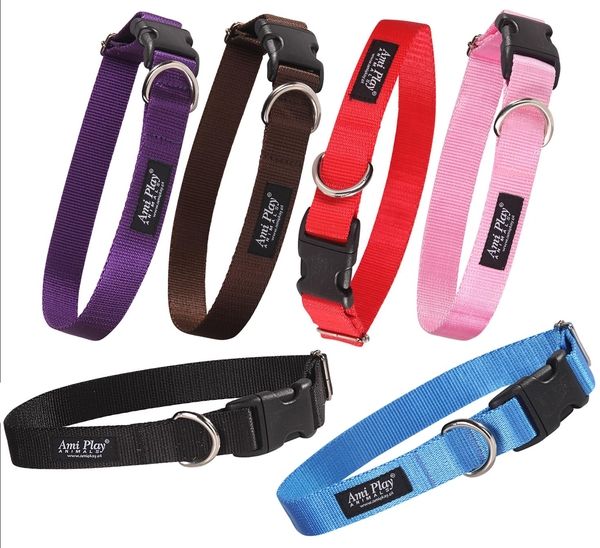 Obroża N 34-55cm, szer. 2,5cm