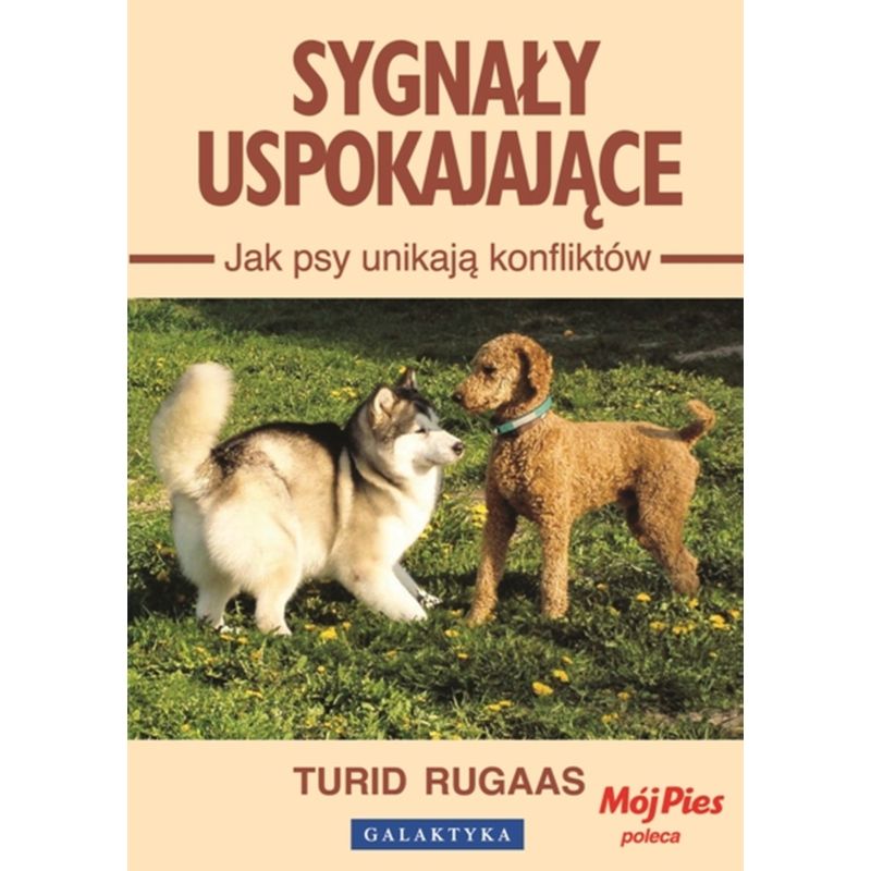 Sygnały uspokajające. Jak psy unikają konfliktów.