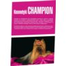 Szampon dla Szczeniąt 250ml Champion