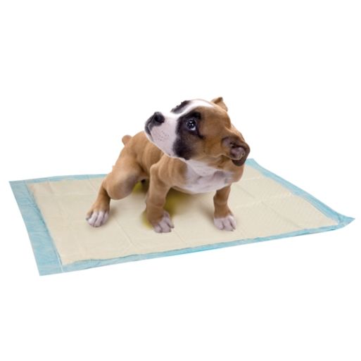 Maty Pieluchy do nauki sikania 10szt dla psów