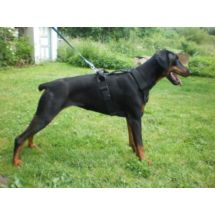 Szelki SECURIT 75-107cm do szkolenia, obrony, prac