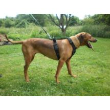 Szelki SECURIT 75-107cm do szkolenia, obrony, prac