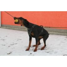 Szelki SECURIT 70-97cm do szkolenia, obrony, pracy