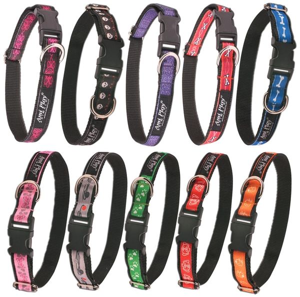 Obroża NX 24-42cm, szer. 2cm