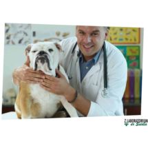 Flawitol Omega 3 Olej Rybny z Lecytyną 250ml