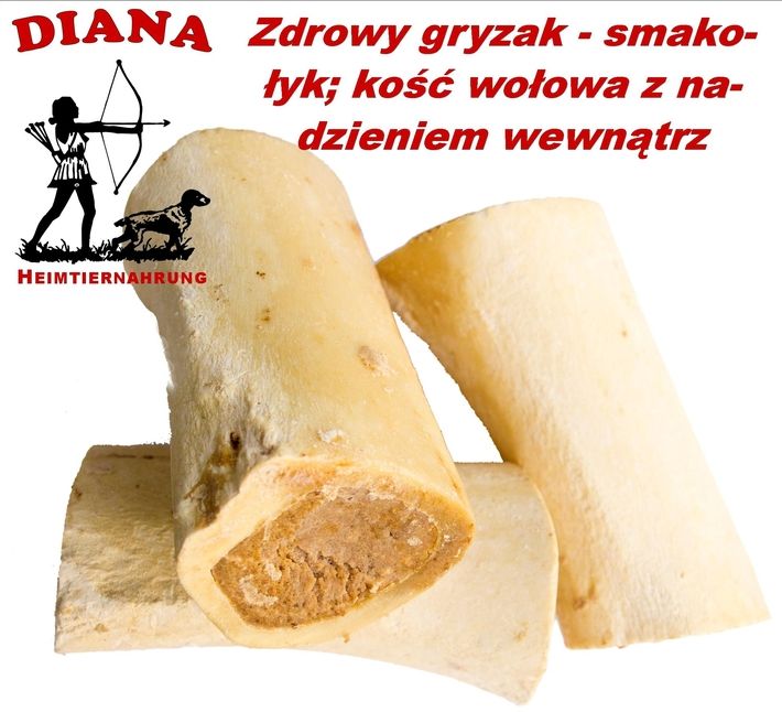 Rohrenknochen gefullt Diana 1szt Kość z wypełnieni