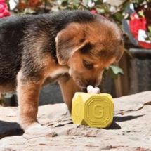 Premier Puppy Busy Buddy Biscuit Block S (small)