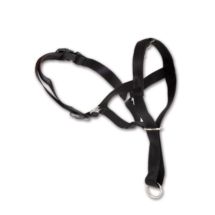 Dingo Kantar rozmiar XXXL, max. 54 cm