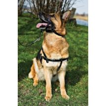 Dingo Kantar rozmiar XXXL, max. 54 cm