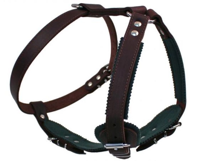 Szelki SECURIT PROF 69-83cm do szkolenia, obrony