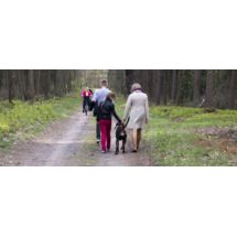 Kivo Kurczak Żwacz Wołowy Ryż tłoczona na zimno14k