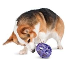 Premier Kibble Nibble Feeder Ball medium / large