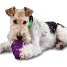 Premier Squirrel Dude S (small)