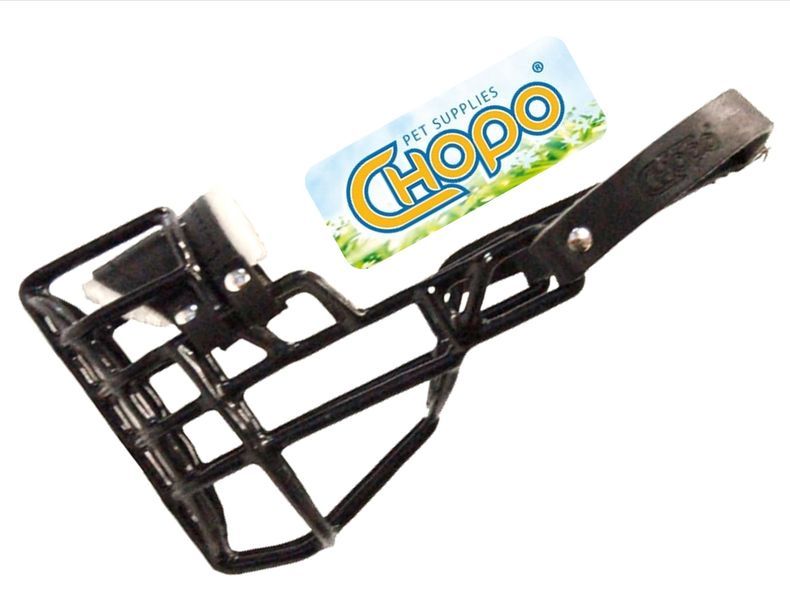 Chopo Kaganiec Fizjologi Sznaucer Miniaturowy SUKA