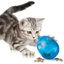 Premier Funkitty Egg Cersizer