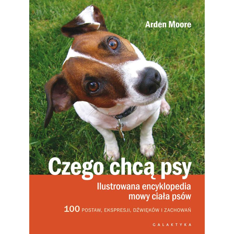 Czego chcą psy. Ilustrowana encyklopedia mowy ciał