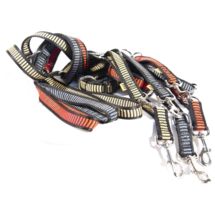 Smycz Reg. z grubej taśmy SF szer.25mm dł.240cm