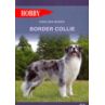 Border Collie Książka Poradnik autorstwa E. Budek