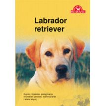 Labrador Retriever książka poradnik