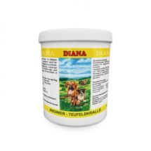 Ingwer & Taufelskralle Diana 200g, imbir i czarci