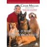 Jak zostać przywódcą stada - Cesar Millan