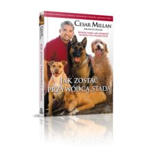 Jak zostać przywódcą stada - Cesar Millan