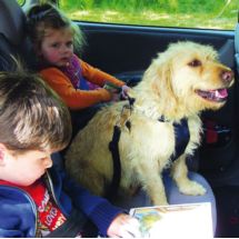 Szelki do samochodu dla psa rozmiar L do 86cm