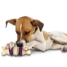 Premier Bristle Bone Rowhide S (small)