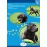 Happy Pet Grubber Interactive Ball - Interaktywna
