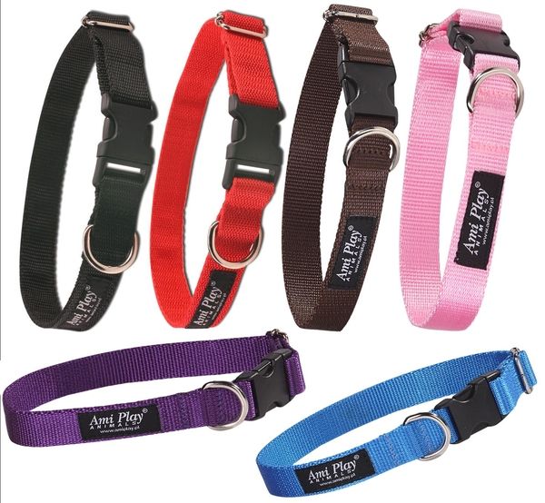 Obroża N 24-42cm, szer. 2cm