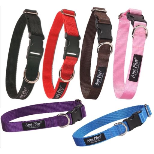 Obroża N 24-42cm, szer. 2cm