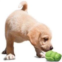 Premier Puppy Busy Buddy Squirrel Dude M (medium)