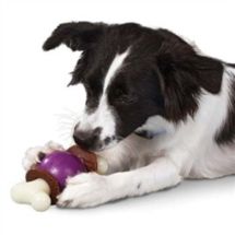 Premier Bouncy Bone Rawhide S (small)