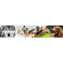 Obroża BEZPIECZNA z podkładką 48-56cm B. MOCNA 60